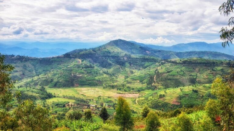 Hiking in Rwanda | Everything You Need To Know in 2022